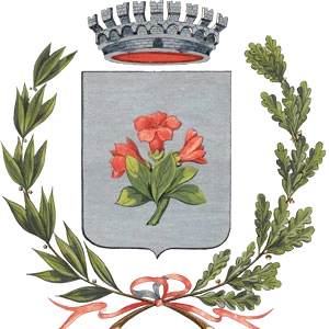 Comune Di Pinzolo E Madonna Di Campiglio